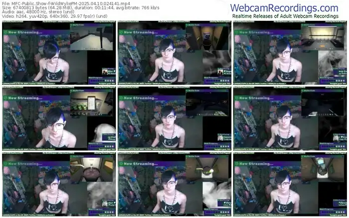 2025/04/10/mfc-wildwyliepm-02-41-41