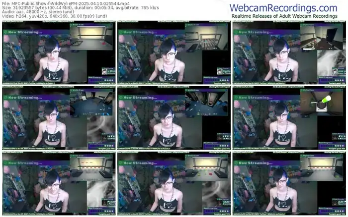 2025/04/10/mfc-wildwyliepm-02-55-44