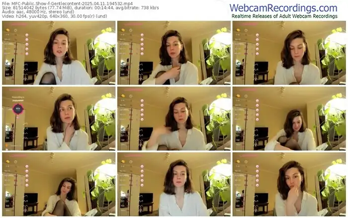 2025/04/11/mfc-gentlecontent-19-45-32