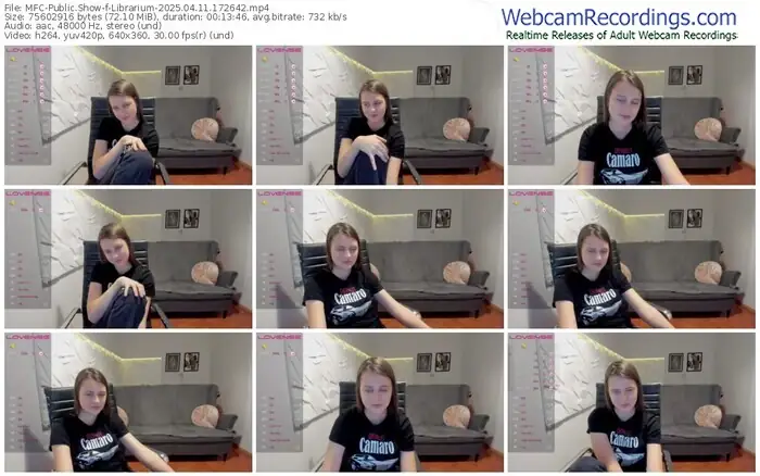 2025/04/11/mfc-librarium-17-26-42