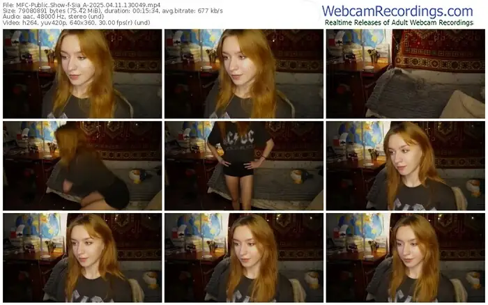 2025/04/11/mfc-sia_a-13-00-49