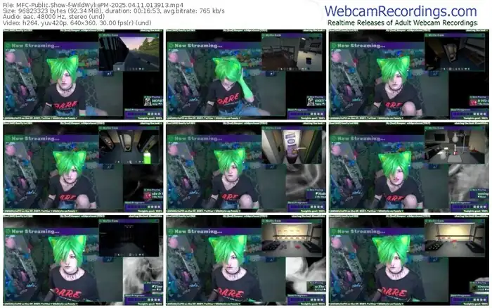 2025/04/11/mfc-wildwyliepm-01-39-13