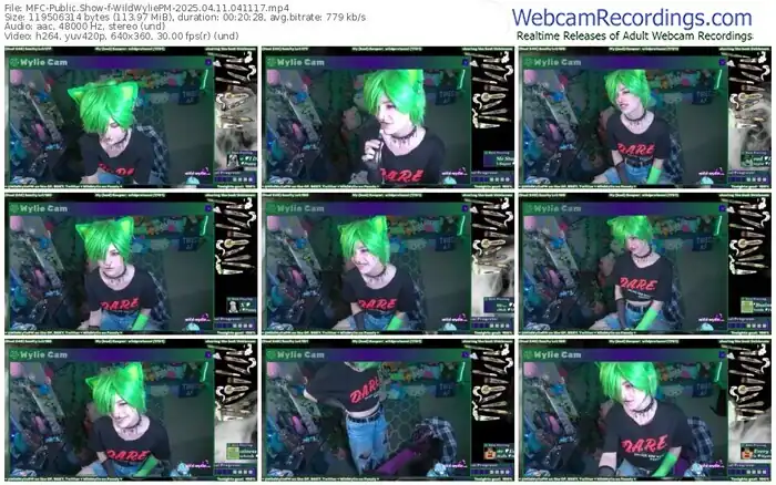 2025/04/11/mfc-wildwyliepm-04-11-17