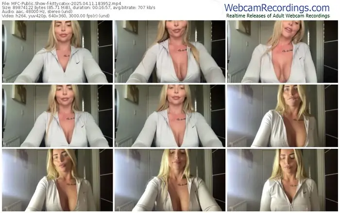 2025/04/11/mfc-kittycatxx-18-39-52