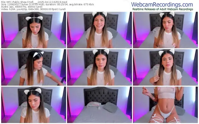 2025/04/12/mfc-sofi___-16-25-19