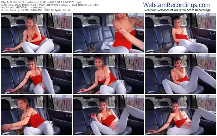 2025/04/12/mfc-yourguiltypus-09-33-01