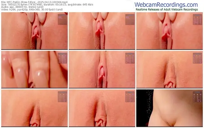 2025/04/13/mfc-elysi_-10-03-44