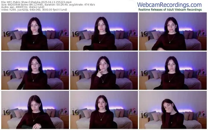 2025/04/13/mfc-shalyka-15-52-23