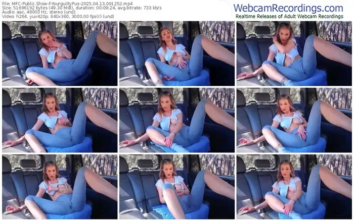 2025/04/13/mfc-yourguiltypus-09-12-52