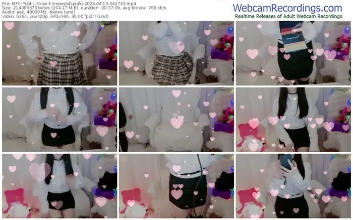 2025/04/13/mfc-meowpafupafu-04-27-33