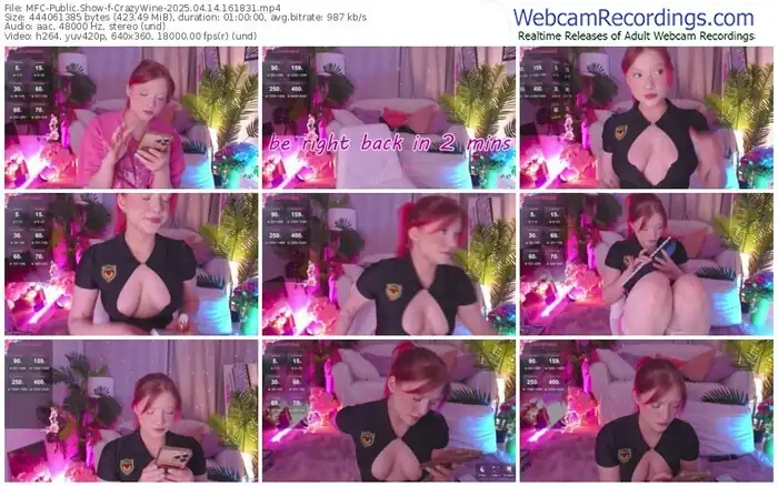 2025/04/14/mfc-crazywine-16-18-31