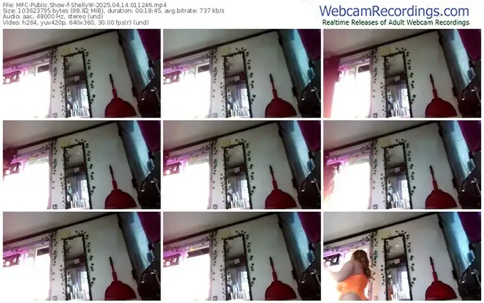 2025/04/14/mfc-shellyw-01-12-46