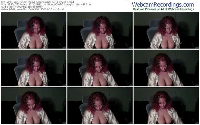 2025/04/14/mfc-slayzgemini-07-49-11