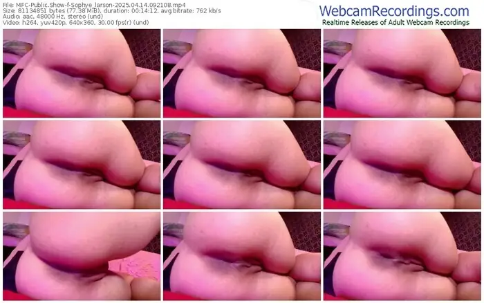 2025/04/14/mfc-sophye_larson-09-21-08