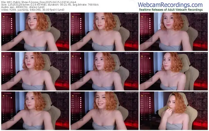 2025/04/15/mfc-goose_doe-10-37-41