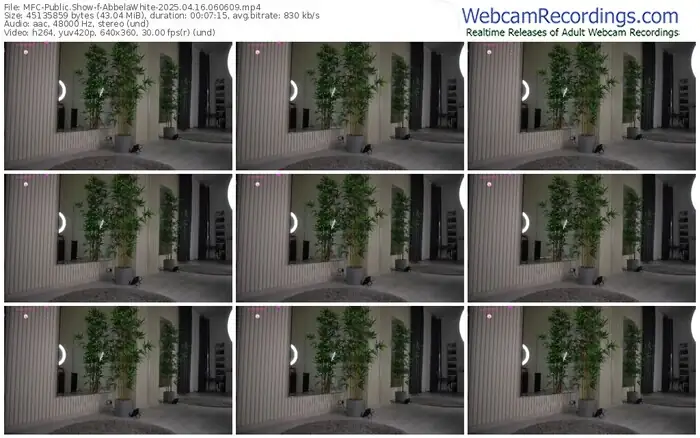 2025/04/16/mfc-abbelawhite-06-06-09