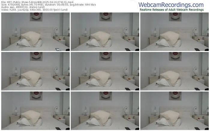 2025/04/16/mfc-alisonbb-07-41-31