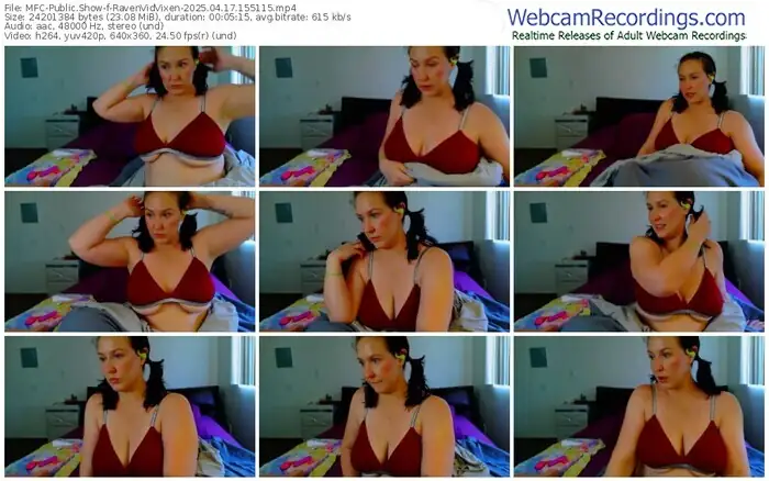 2025/04/17/mfc-ravenvidvixen-15-51-15