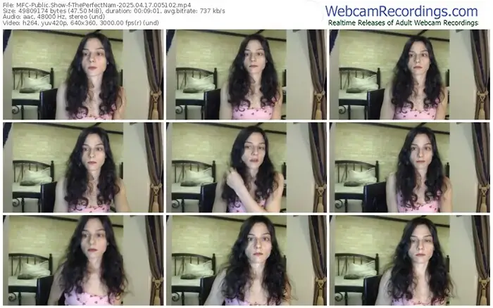 2025/04/17/mfc-theperfectnam-00-51-02
