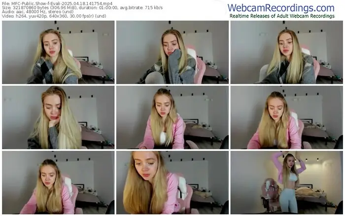 2025/04/18/mfc-evali-14-17-54