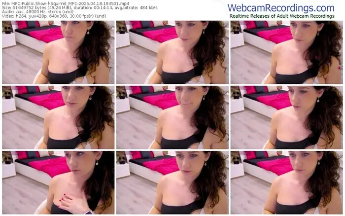 2025/04/18/mfc-squirrel_mfc-19-45-01