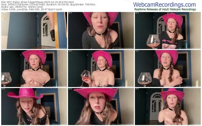 2025/04/19/mfc-agenttease-05-27-00