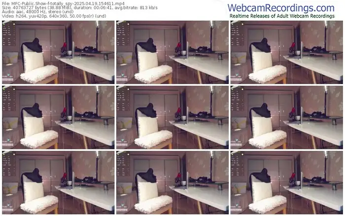 2025/04/19/mfc-totally_spy-15-46-11