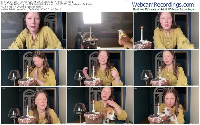 2025/04/20/mfc-agenttease-03-41-30