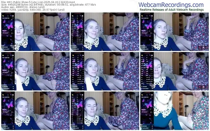 2025/04/20/mfc-cute_lion-13-24-33