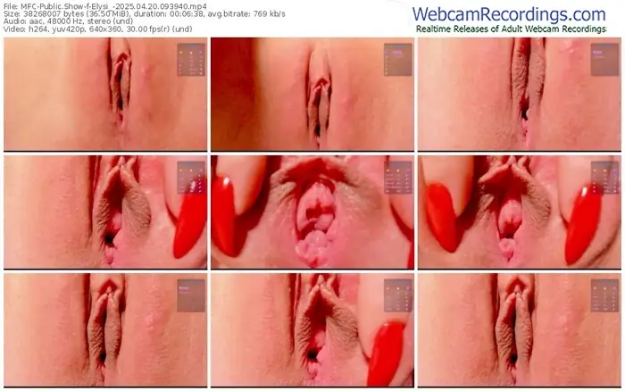 2025/04/20/mfc-elysi_-09-39-40