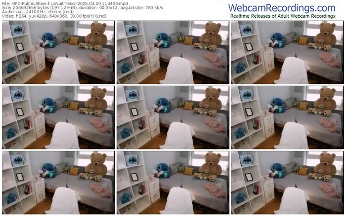 2025/04/20/mfc-lanuittresor-11-44-06