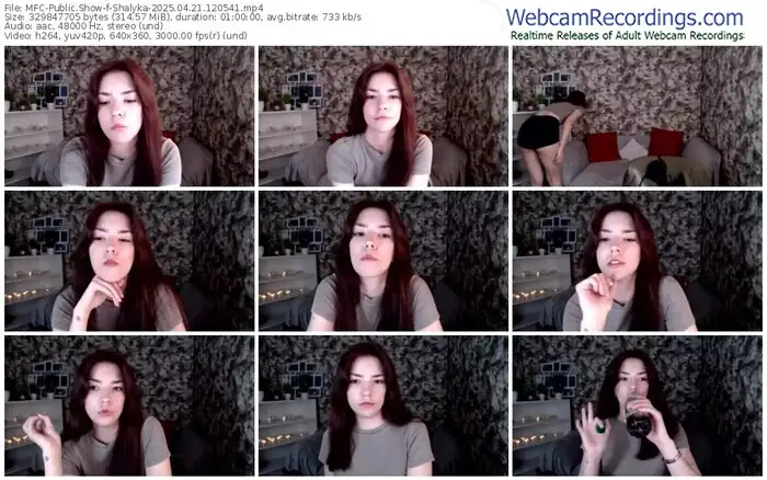 2025/04/21/mfc-shalyka-12-05-41