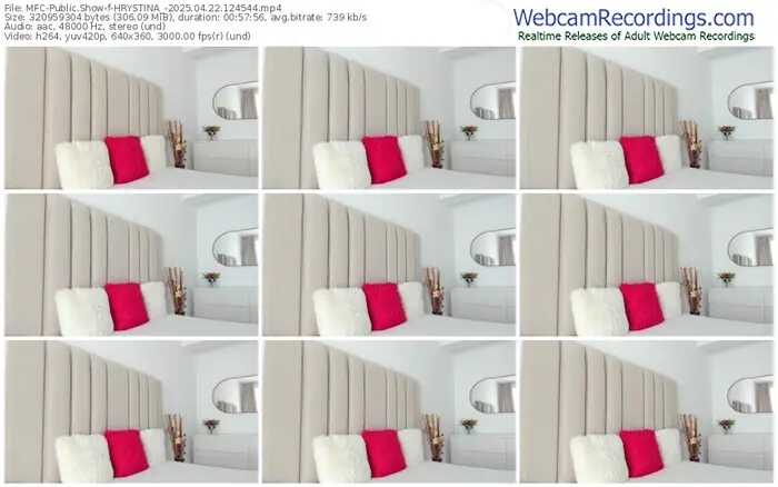 2025/04/22/mfc-hrystina_-12-45-44