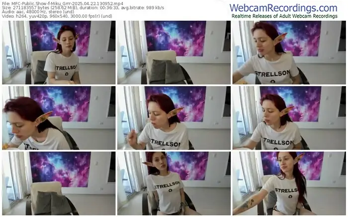 2025/04/22/mfc-miku_grrr-13-09-52