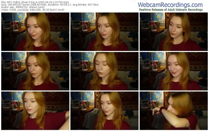 2025/04/23/mfc-sia_a-11-07-53