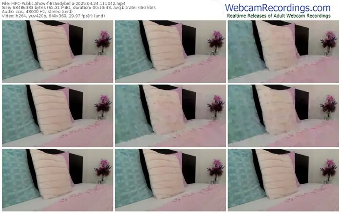 2025/04/24/mfc-brandybella-11-10-42