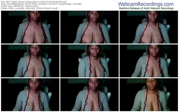 2025/04/24/mfc-slayzgemini-02-31-28