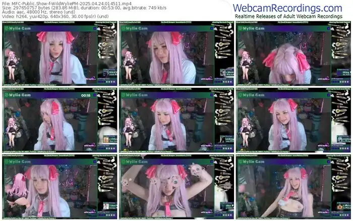 2025/04/24/mfc-wildwyliepm-01-45-11