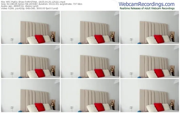 2025/04/25/mfc-hrystina_-12-52-11