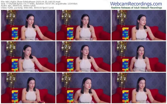 2025/04/25/mfc-melisroom-14-41-53