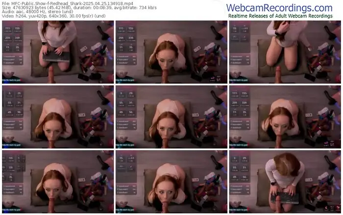 2025/04/25/mfc-redhead_shark-13-49-18