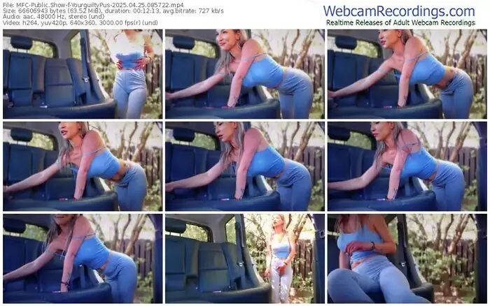 2025/04/25/mfc-yourguiltypus-08-57-22