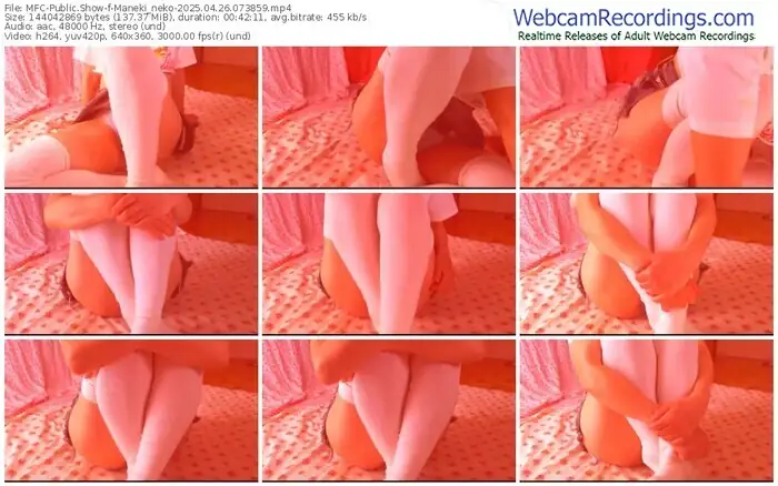 2025/04/26/mfc-maneki_neko-07-38-59