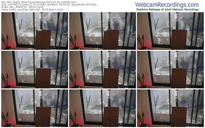 2025/04/26/mfc-pinchediosa-15-29-56