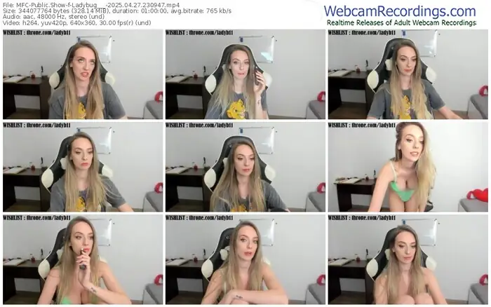 2025/04/27/mfc-ladybug___-23-09-47