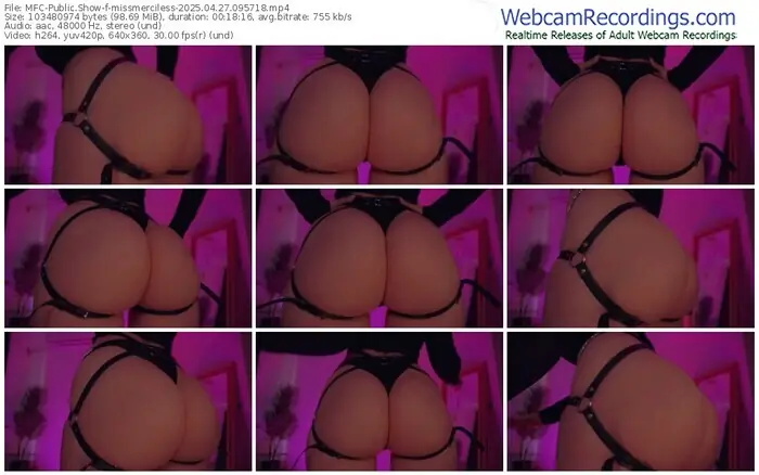 2025/04/27/mfc-missmerciless-09-57-18