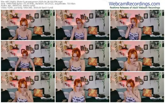 2025/04/28/mfc-larissalarson-03-15-56