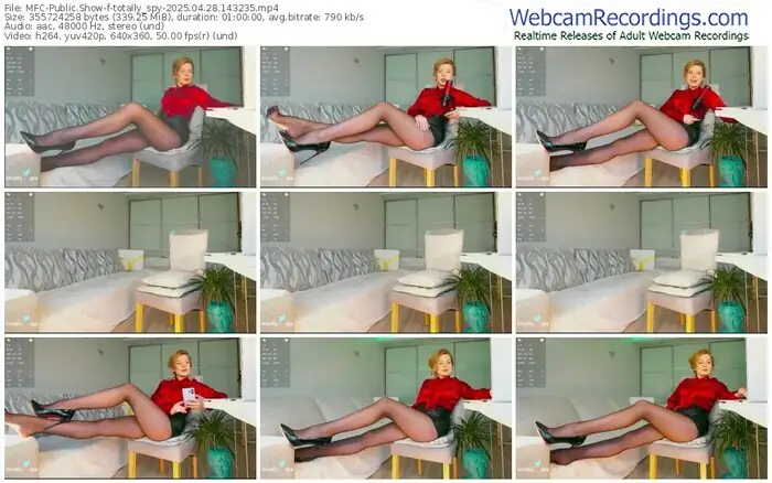 2025/04/28/mfc-totally_spy-14-32-35