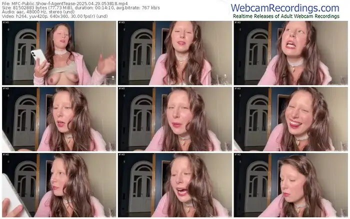 2025/04/29/mfc-agenttease-05-38-18