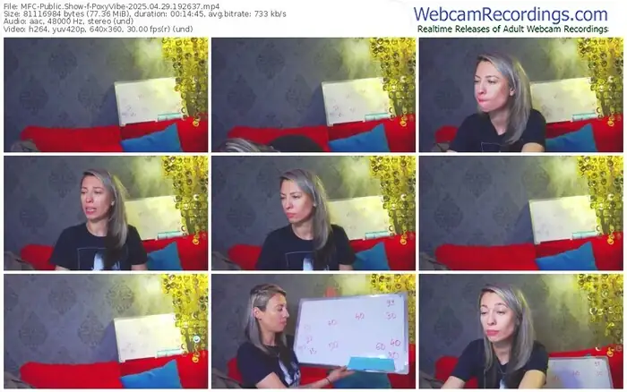 2025/04/29/mfc-poxyvibe-19-26-37